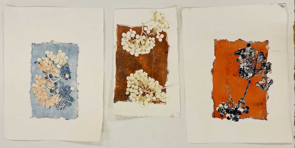 Workshop Image 1