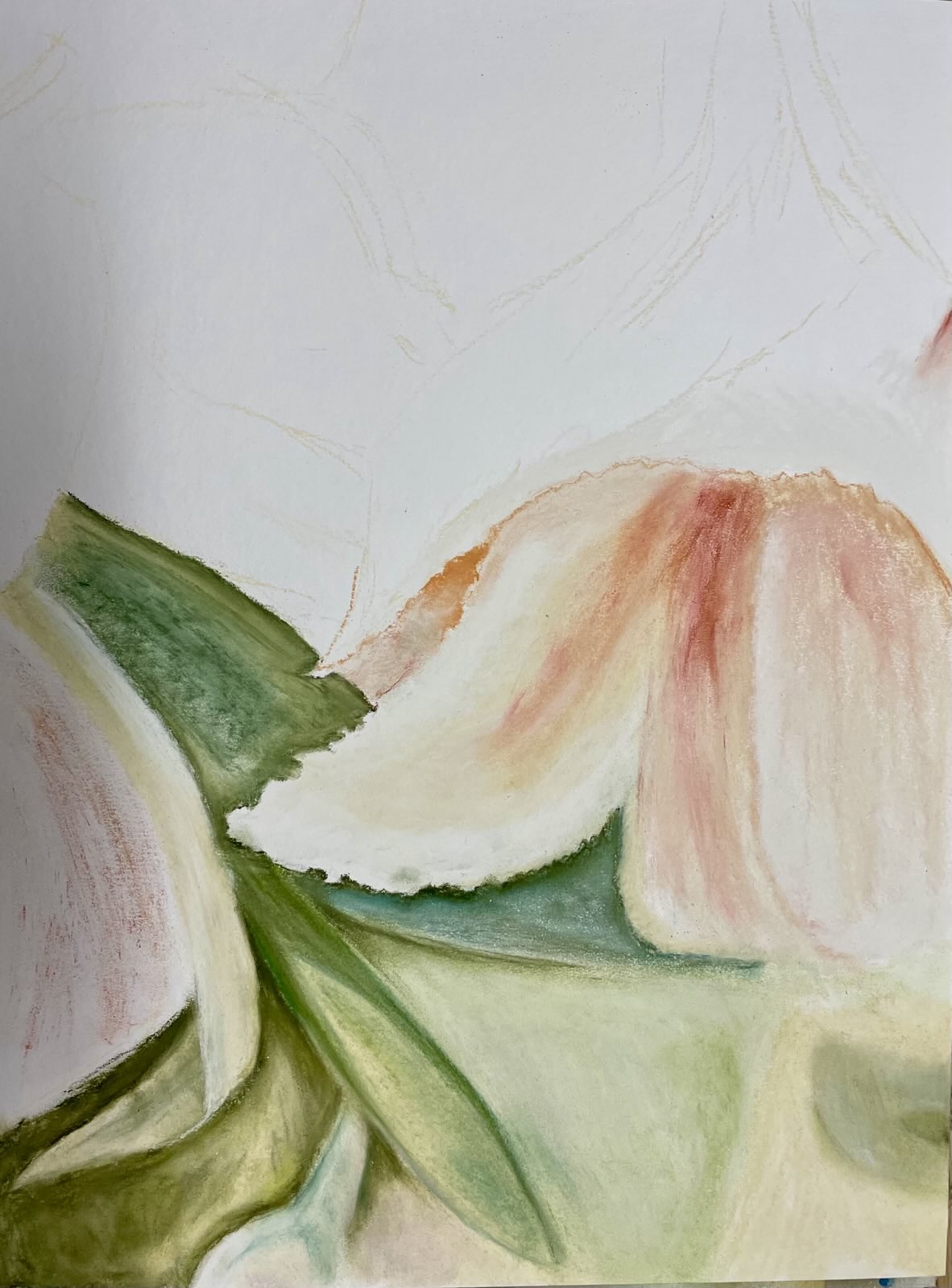 Workshop Image 14